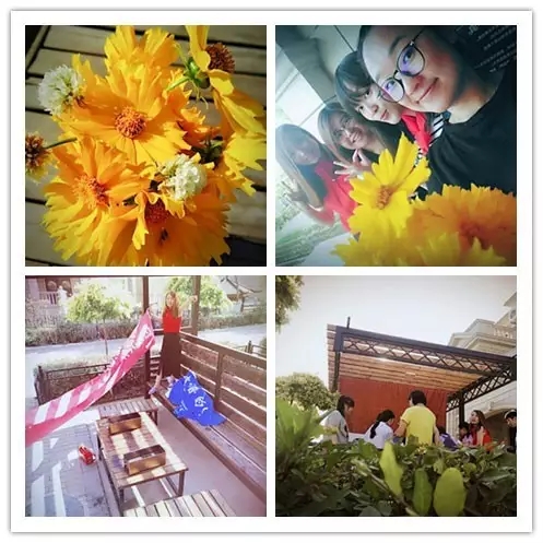 網(wǎng)勢(shì)科技6周歲生日快樂(lè)！